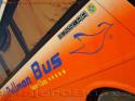 Busscar Vissta Buss LO / Pullman Bus