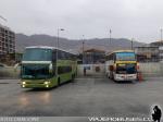 Terminal Carlos Oviedo / Antofagasta - II Región