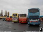 Terminal de Buses en Santa Cruz / VI Región