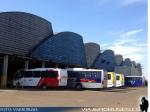 Fabrica Mascarello / Cascavel - Brasil