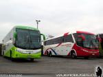 Unidades Marcopolo Paradiso G7 1200 / Mercedes Benz O-500RSD / Tur-Bus &  Tas Choapa