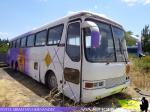 Mercedes Benz O-371RSD / Particular