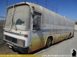 Mercedes Benz O-303 / Particular