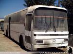 Mercedes Benz O-303 / Particular