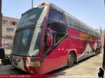 Neoplan / Mayca