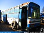 Mercedes Benz O-303 / Particular