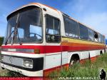 Mercedes Benz O-303 / Particular