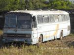 Mercedes Benz O-302 / Particular