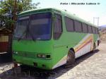 Mercedes Benz O-371 / Particular