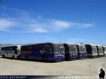 Buses Ahumada / Los Andes
