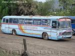 Mercedes Benz O-302  Buses Golondrina