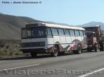 Mercedes Benz O-355 / Particular