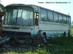 Mercedes Benz O-303 / Particular