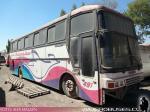 Busscar Jum Buss 380 / Volvo B10M / Pullman Bus