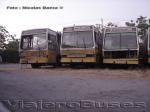 Caio Vitoria / Mercedes Benz OF-1318 / Linea 429 - 430