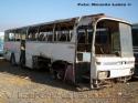 Mercedes Benz O-303 / Buses Ahumada