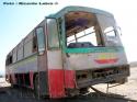 Unicar / Pegaso / Buses Hidalgo