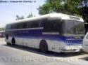 Ciferal Dinossauro / Scania BR115 / Transporte Privado