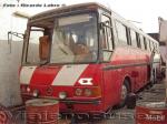 Mercedes Benz O-370 RSD / Kenny Buss