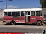 Blue Bird / Mercedes Benz 608-D / Buses Amanecer