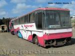 Marcopolo Viaggio GIV 1100 / Volvo B58 / Pachemari