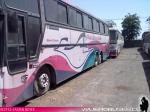 Flota de Buses Pullman Bus