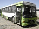 Marcopolo Torino / Volvo B10M / Universidad  Mayor