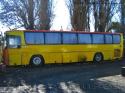 Mercedes Benz O-303 / Bus Particular