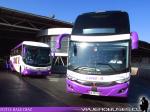 Unidades G7 / Condor Bus - Terminal San Borja