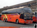 Zhong Tong LCK6137 Half Deck / Pullman Bus