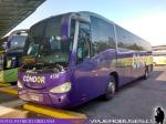 Irizar Century / Scania K380 / Condor Bus