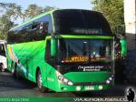 Zhong Tong LCK6137 / Paravias