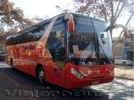Young Man JNP6120T Starliner / Pullman Bus