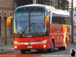 Yutong ZK6136H / Pullman Bus