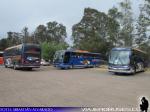 Buses Ahumada / Los Andes - V Región