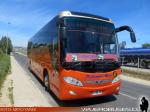 Daewoo A120 / Pullman Bus Lago Peñuelas