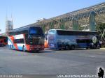 Zhong Tong LCK6148 / Pullman Bus