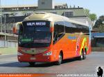 Irizar i6 3.90 / Mercedes Benz O-500RSD / Pullman Bus Costa Central