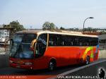 Marcopolo Viaggio 1050 / Volvo B7R / Buses Los Halcones