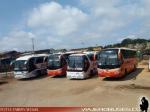 Unidades Buses Andrade / Litoral Central