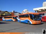 Marcopolo Viaggio G7 1050 / Mercedes Benz O-500RS / Pullman Bus Lago Peñuelas