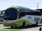 Irizar i6 / Mercedes Benz O-500RS / Turbus