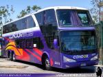 Modasa New Zeus II / Mercedes Benz O-500RSD / Condor Bus
