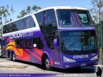 Modasa New Zeus II / Mercedes Benz O-500RSD / Condor Bus