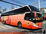 Zhong Tong LCK6137 / Paravias