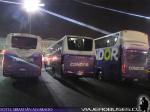 Unidades Condor Bus / Terminal Alameda