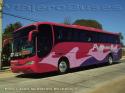 Comil Campione 3.45 / Mercedes Benz O-400RSE / Pullman Bus Lago Peñuelas