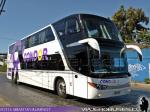 Modasa Zeus 3 / Mercedes Benz O-500RSD / Condor Bus