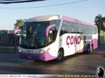 Marcopolo Paradiso G7 1200 / Mercedes Benz O-500RSD / Condor Bus