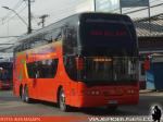 Youngman JPN6137 / Pullman Bus